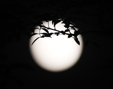 瑶山夜歌-钢琴谱