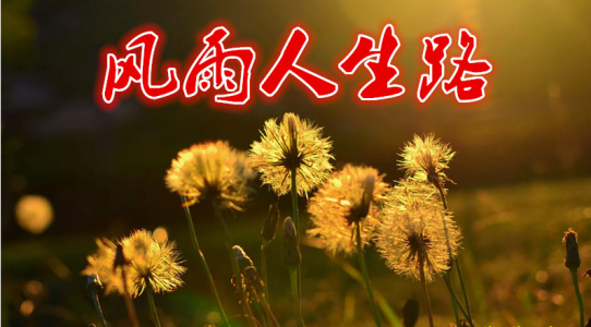 风雨人生路-钢琴谱