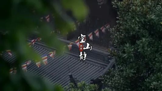 空山静(电吹管技巧谱)-钢琴谱