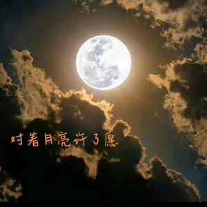 对着月亮许个愿(DJ猎人版)-钢琴谱