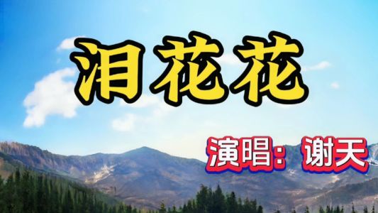 泪花花-钢琴谱
