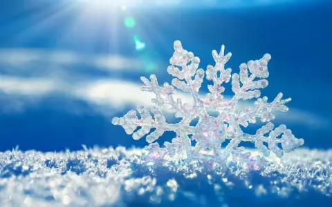 雪的梦幻(陶笛)-钢琴谱