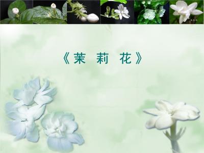 茉莉花-钢琴谱