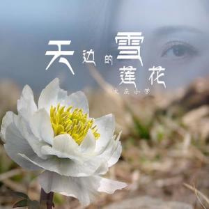 天边的雪莲花-钢琴谱