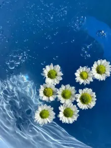 水中花-钢琴谱