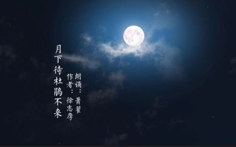 月下待杜鹃不来-钢琴谱