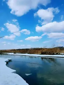 北国之春-钢琴谱