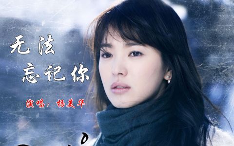 无法忘记你-钢琴谱