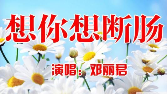 想你想断肠-钢琴谱