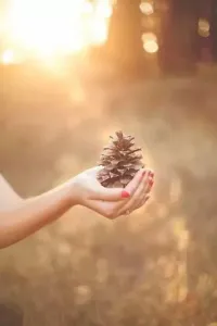人生没谁可以依赖-钢琴谱
