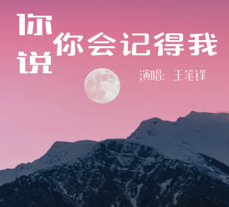 你说你会记得我-钢琴谱