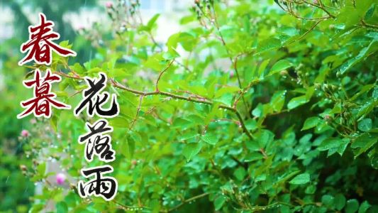 春暮花落雨(埙)-钢琴谱