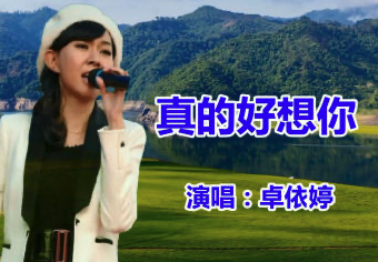 真的好想你-钢琴谱