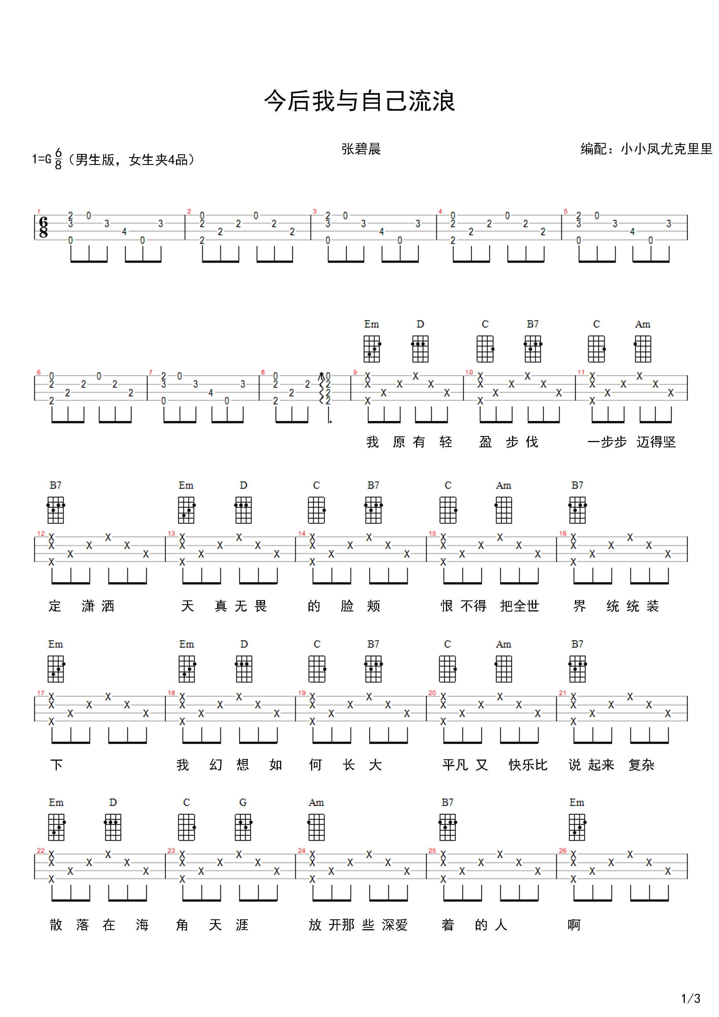 今后我与自己流浪简谱