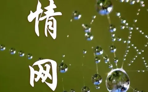 情网-钢琴谱