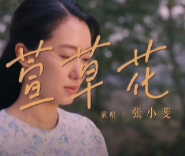 萱草花-钢琴谱