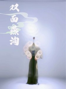 双面燕洵(纯音乐)-钢琴谱