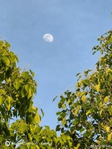 我最思念的人你在哪里-钢琴谱