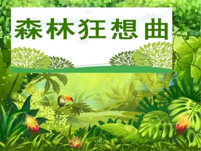 森林狂想曲(陶笛版)-钢琴谱
