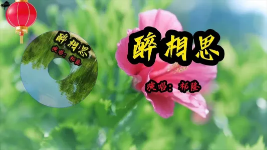 醉相思-钢琴谱