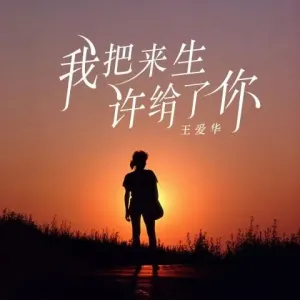 我把来生许给了你-钢琴谱