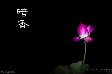 暗香-钢琴谱