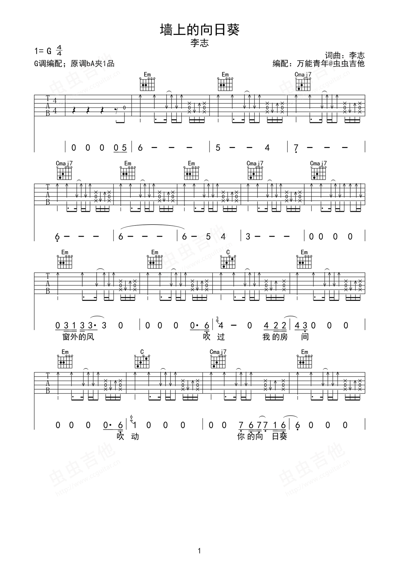 墙上的向日葵李志