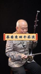 喜看麦田千层浪(二胡)-钢琴谱