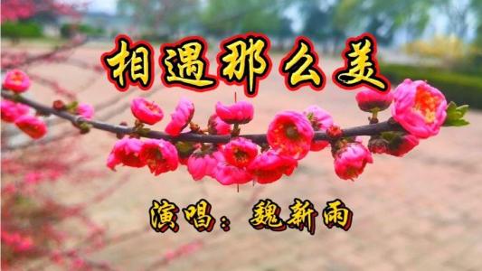相遇那么美-钢琴谱