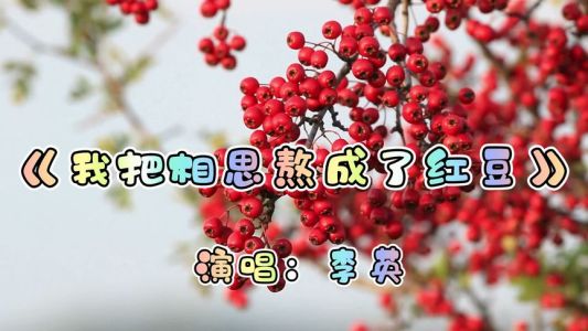 我把相思熬成红豆-钢琴谱