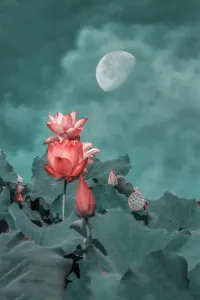 荷塘月色 简易(古筝版)-钢琴谱