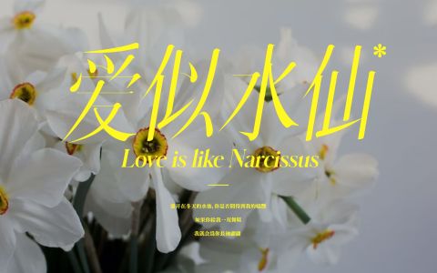 爱似水仙-钢琴谱