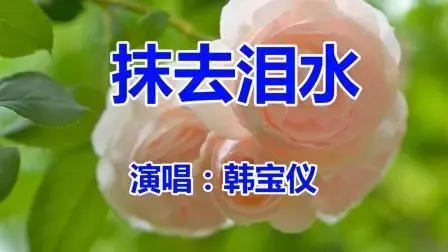 抹去泪水-钢琴谱