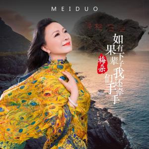 如果有下辈子我们还手牵手-钢琴谱