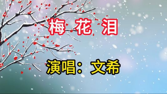 梅花泪-钢琴谱