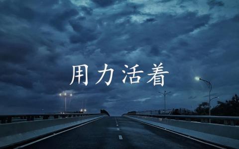 用力活着-钢琴谱
