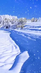 九十九步退一步-钢琴谱