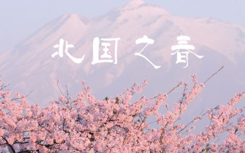 北国之春(萨克斯版)-钢琴谱