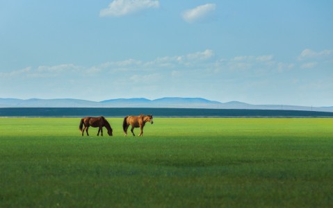 醉人的草原-钢琴谱