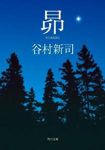 星(改编版)-钢琴谱