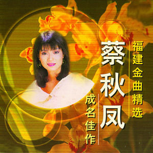 金包银-钢琴谱