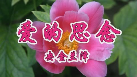 爱的思念-钢琴谱