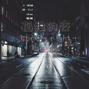 孤独的夜(热门韩曲)-钢琴谱
