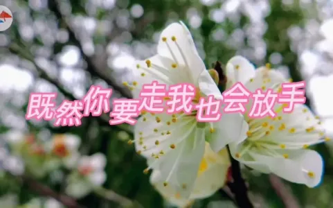 既然你要走我也会放手(DJ默涵版)-钢琴谱