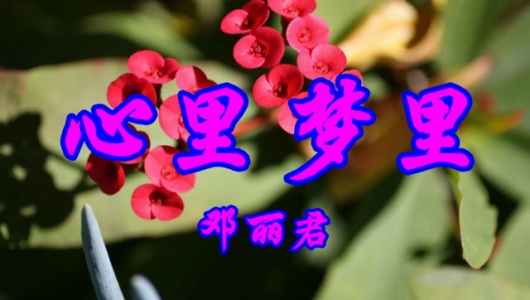 心里梦里-钢琴谱