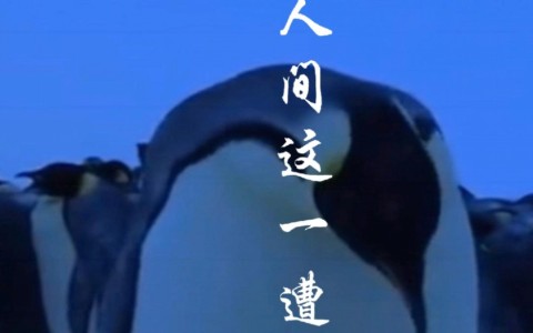 人间这一遭-钢琴谱