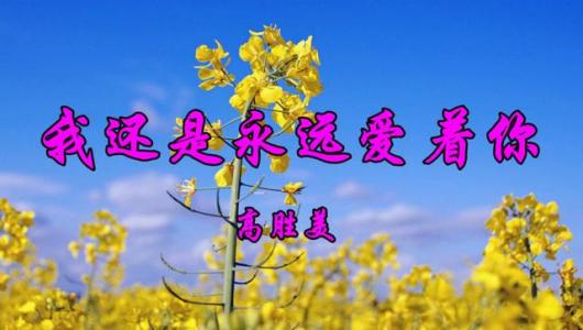 我还是永远爱着你-钢琴谱