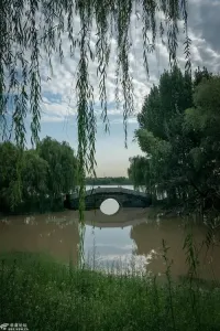 灞桥柳-钢琴谱