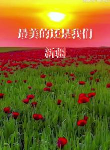 最美的还是我们新疆(live)-钢琴谱