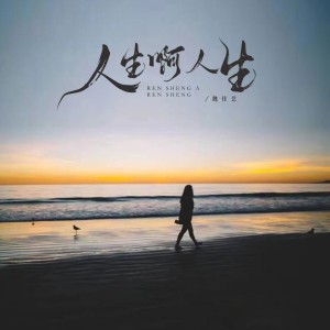 人生啊-钢琴谱